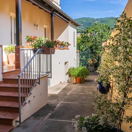 Casa Assunta B&B Vico Equense Bagian luar foto