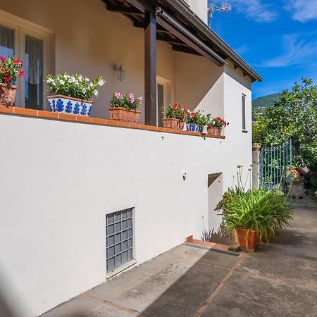 Casa Assunta B&B Vico Equense Bagian luar foto